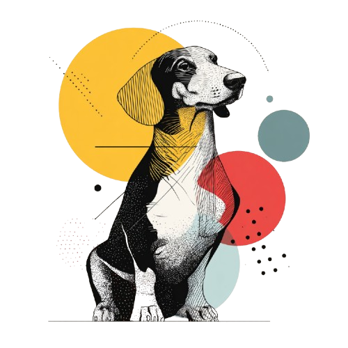 Dachshund