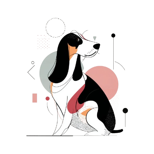Basset Hound