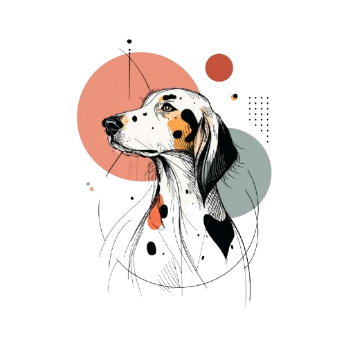 English Setter