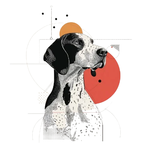 German Shorthaired Pointer