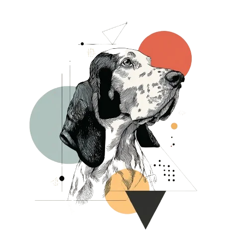 Gordon Setter