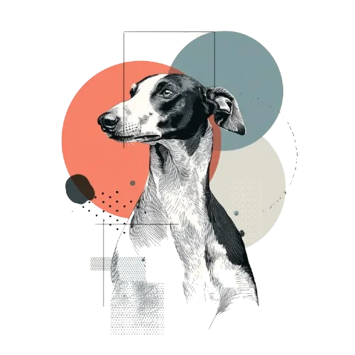 Greyhound