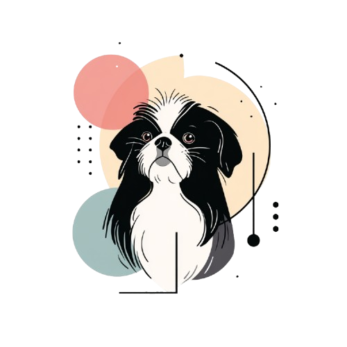 Japanese Chin