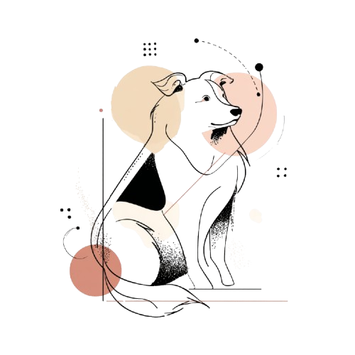 Nova Scotia Duck Tolling Retriever