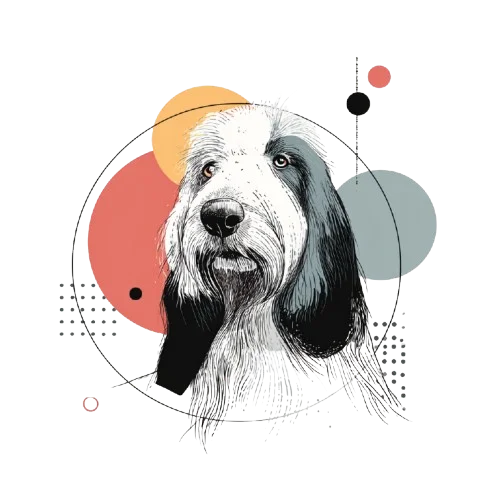 Old English Sheepdog