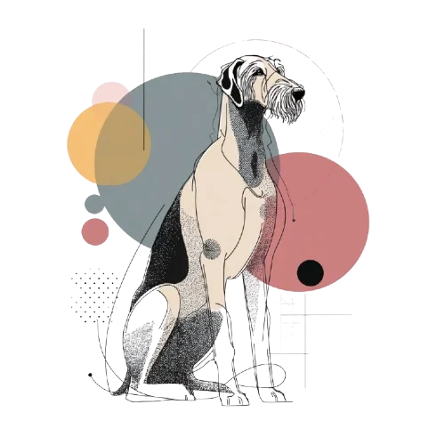 Scottish Deerhound