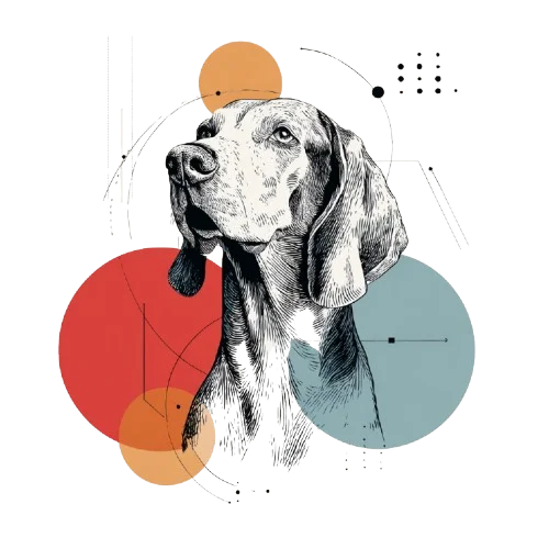 Weimaraner