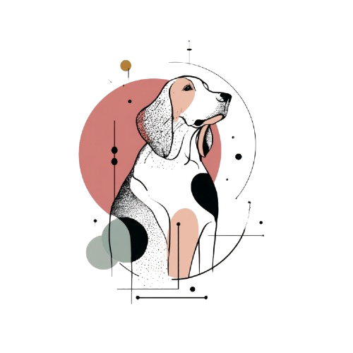 Welsh Springer Spaniel